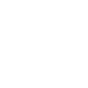 stylist